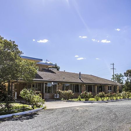 Allonville Gardens Motel Уогга-Уогга Экстерьер фото